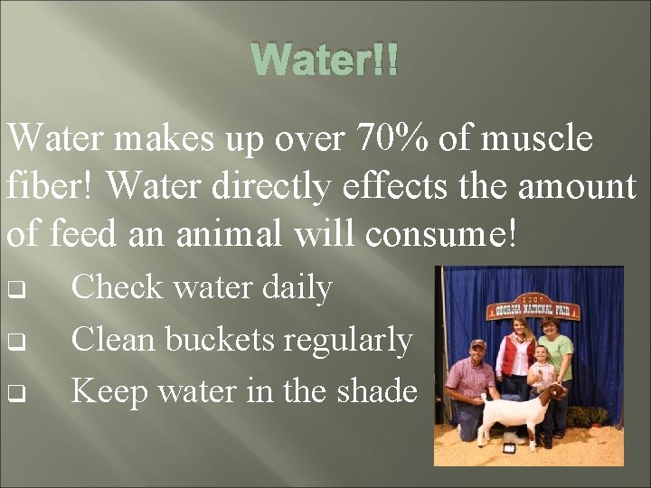 Water!! Water makes up over 70% of muscle fiber! Water directly effects the amount