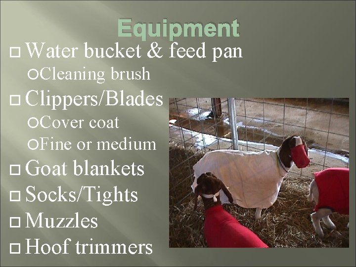  Water Equipment bucket & feed pan Cleaning brush Clippers/Blades Cover coat Fine or
