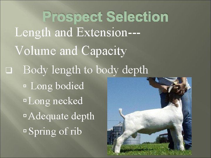 Prospect Selection Length and Extension--Volume and Capacity q Body length to body depth Long