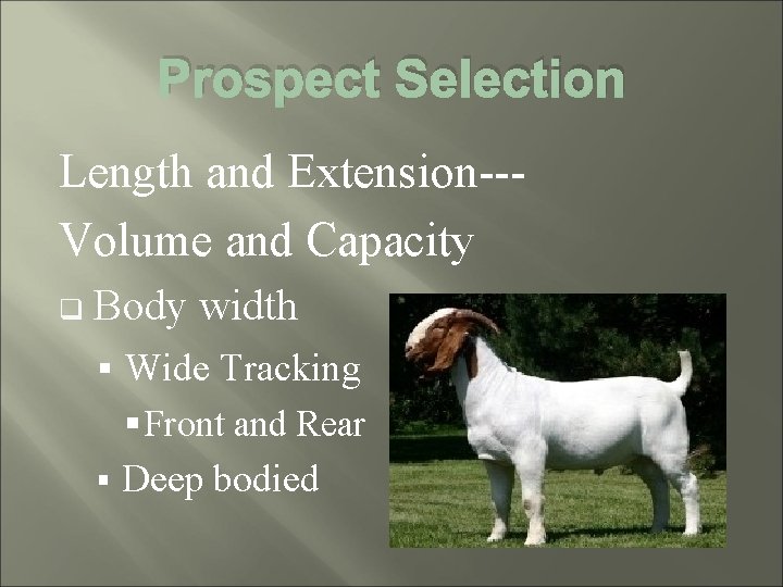 Prospect Selection Length and Extension--Volume and Capacity q Body width § Wide Tracking §