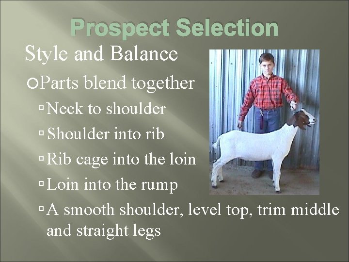 Prospect Selection Style and Balance Parts blend together Neck to shoulder Shoulder into rib
