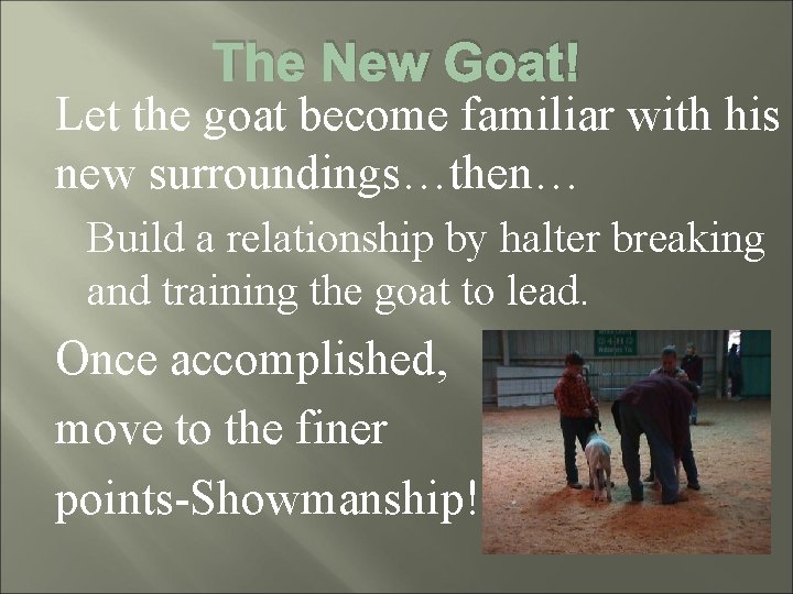The New Goat! Let the goat become familiar with his new surroundings…then… Build a