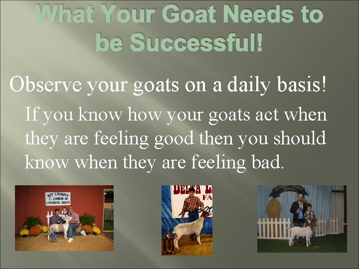 What Your Goat Needs to be Successful! Observe your goats on a daily basis!