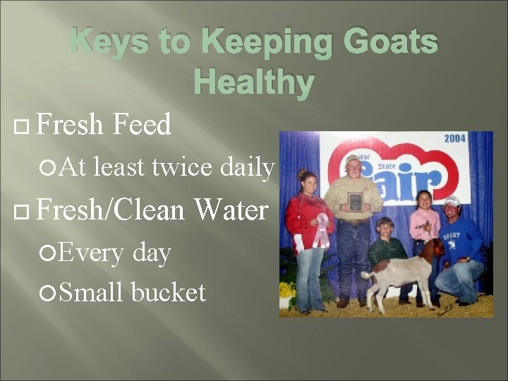 Keys to Keeping Goats Healthy Fresh At Feed least twice daily Fresh/Clean Every Water