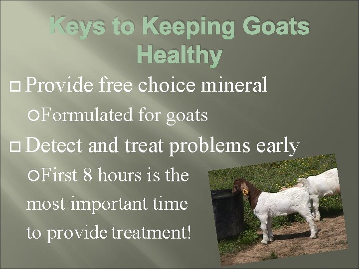 Keys to Keeping Goats Healthy Provide free choice mineral Formulated Detect First for goats