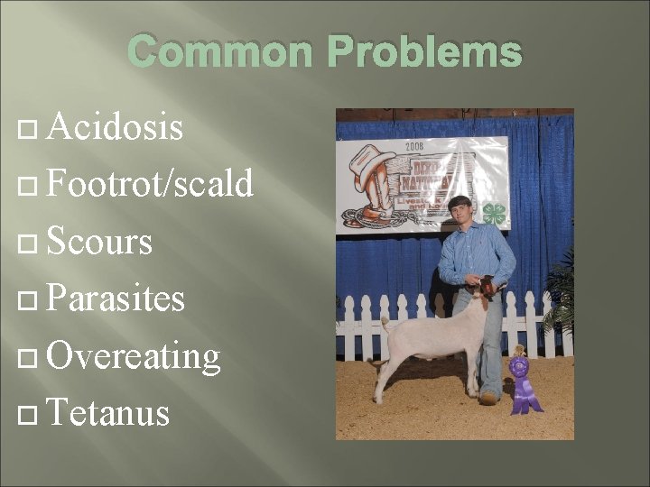 Common Problems Acidosis Footrot/scald Scours Parasites Overeating Tetanus 