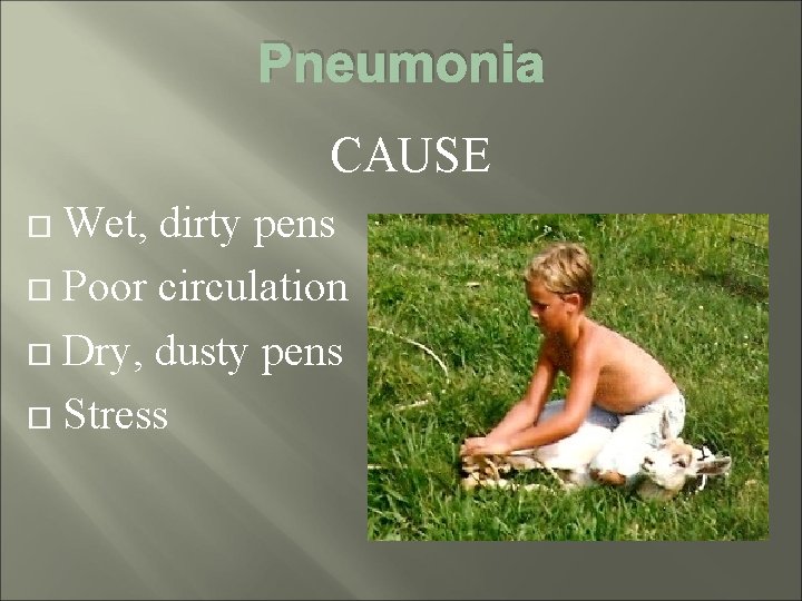 Pneumonia CAUSE Wet, dirty pens Poor circulation Dry, dusty pens Stress 