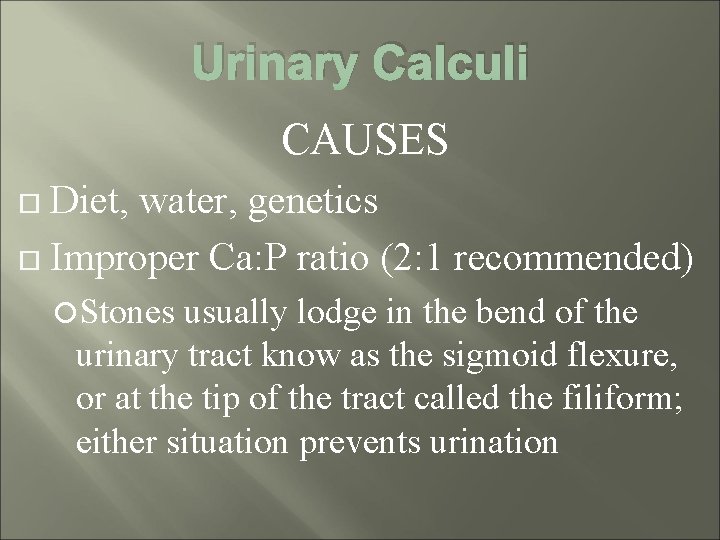 Urinary Calculi CAUSES Diet, water, genetics Improper Ca: P ratio (2: 1 recommended) Stones