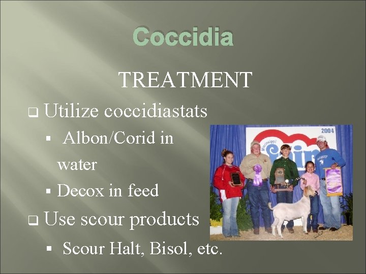 Coccidia TREATMENT q Utilize coccidiastats Albon/Corid in water § Decox in feed § q