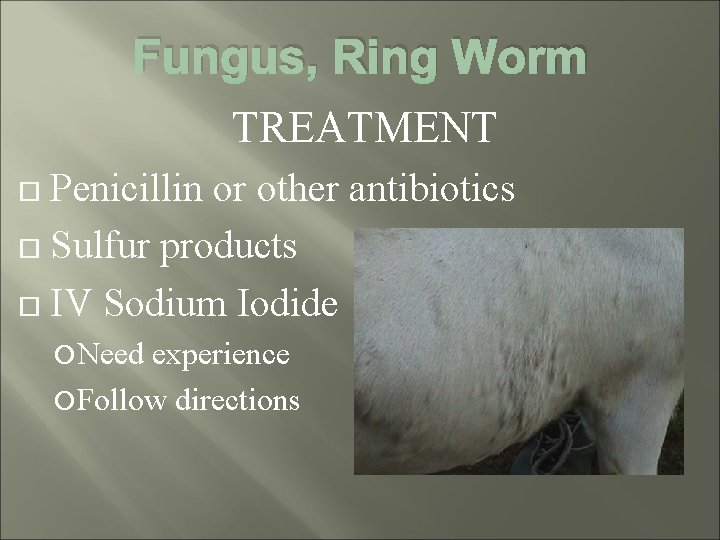 Fungus, Ring Worm TREATMENT Penicillin or other antibiotics Sulfur products IV Sodium Iodide Need