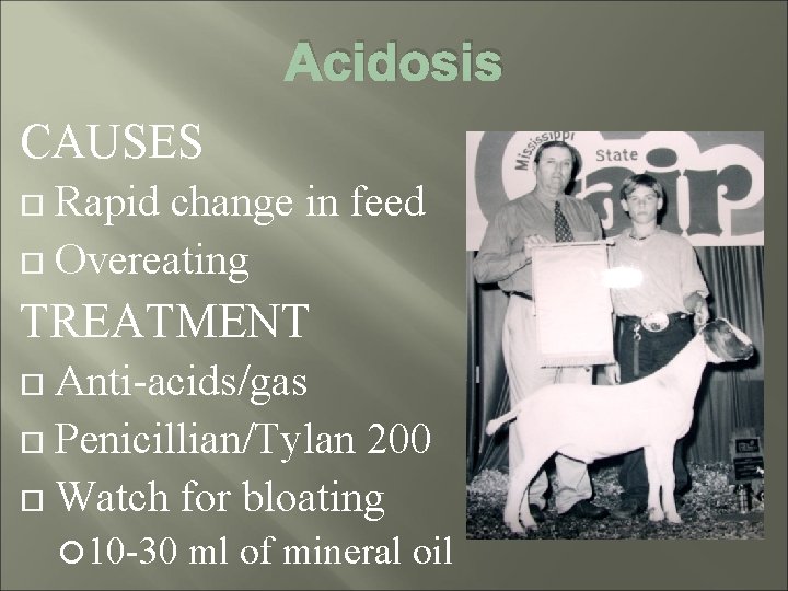 Acidosis CAUSES Rapid change in feed Overeating TREATMENT Anti-acids/gas Penicillian/Tylan 200 Watch for bloating