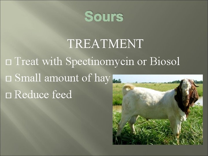 Sours TREATMENT Treat with Spectinomycin or Biosol Small amount of hay Reduce feed 
