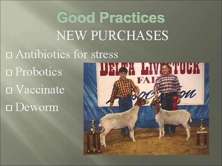 Good Practices NEW PURCHASES Antibiotics for stress Probotics Vaccinate Deworm 