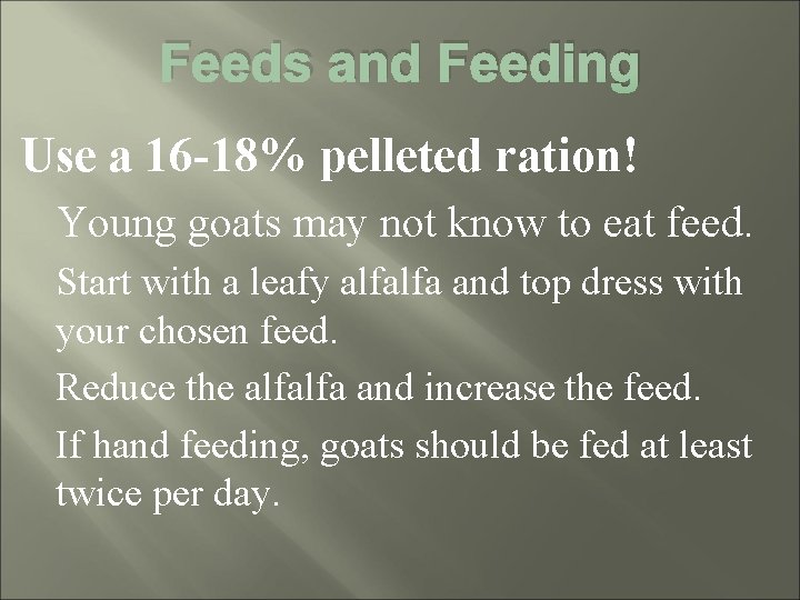 Feeds and Feeding Use a 16 -18% pelleted ration! Young goats may not know