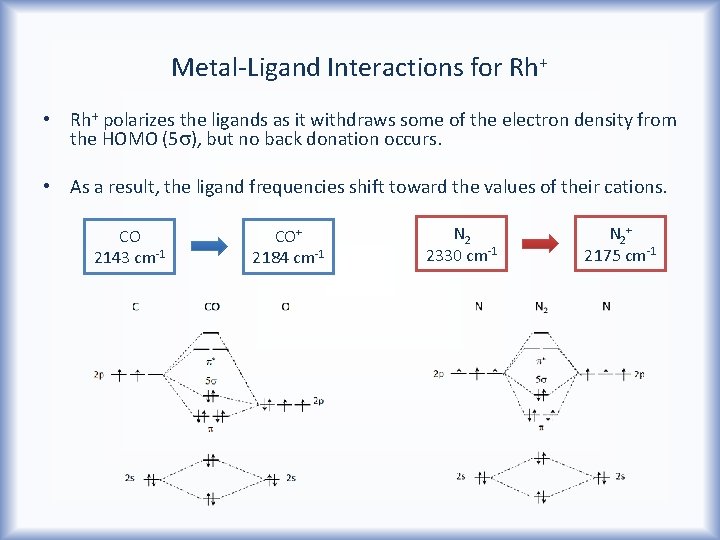 Metal-Ligand Interactions for Rh+ • Rh+ polarizes the ligands as it withdraws some of