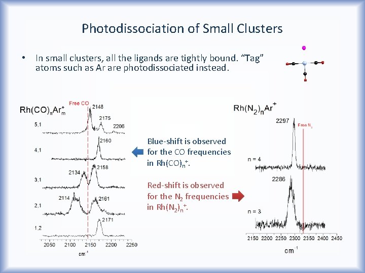 Photodissociation of Small Clusters • In small clusters, all the ligands are tightly bound.