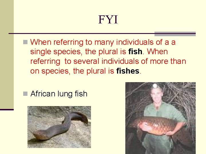 FYI n When referring to many individuals of a a single species, the plural