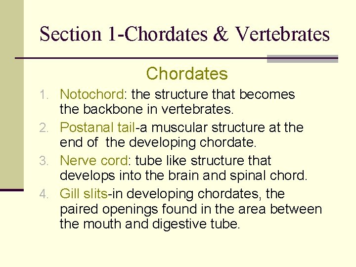 Section 1 -Chordates & Vertebrates Chordates 1. Notochord: the structure that becomes the backbone