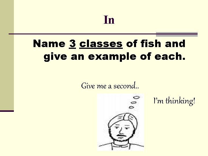 In Name 3 classes of fish and give an example of each. Give me