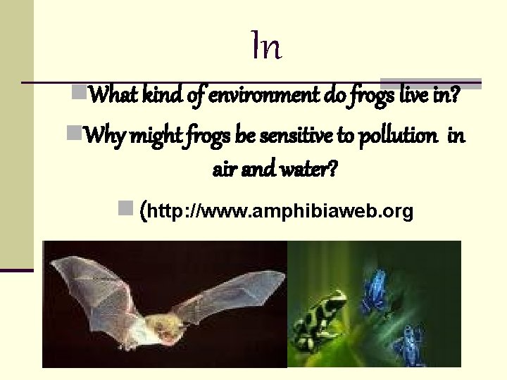 In n. What kind of environment do frogs live in? n. Why might frogs