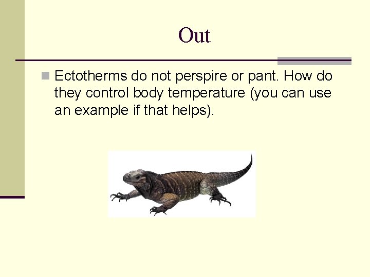 Out n Ectotherms do not perspire or pant. How do they control body temperature