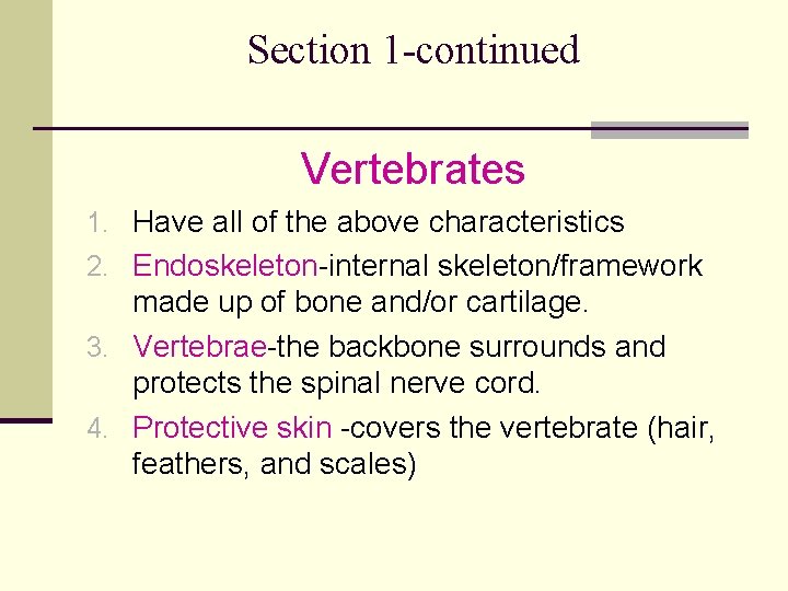Section 1 -continued Vertebrates 1. Have all of the above characteristics 2. Endoskeleton-internal skeleton/framework