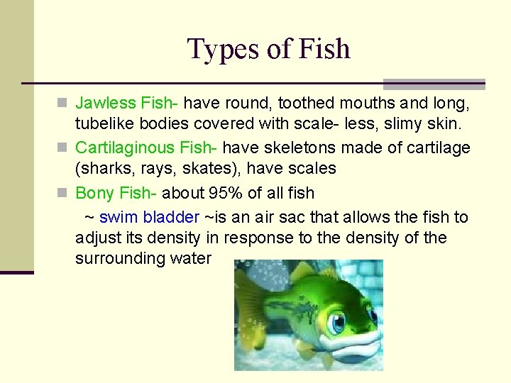Types of Fish n Jawless Fish- have round, toothed mouths and long, tubelike bodies