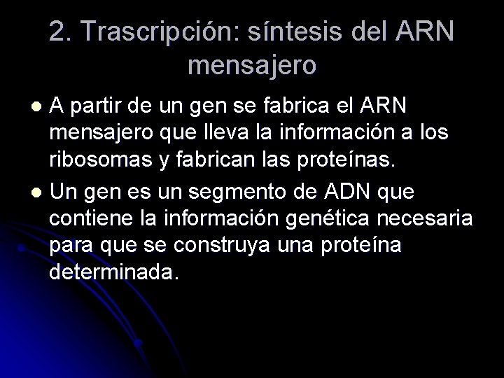 2. Trascripción: síntesis del ARN mensajero A partir de un gen se fabrica el