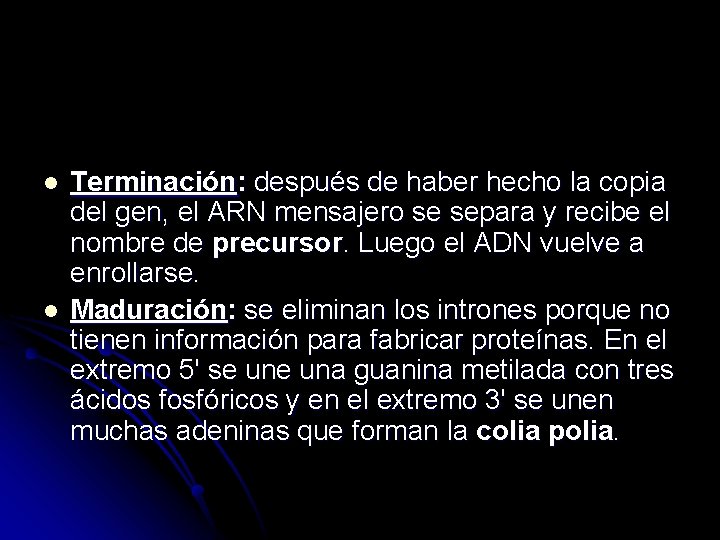 l l Terminación: después de haber hecho la copia del gen, el ARN mensajero