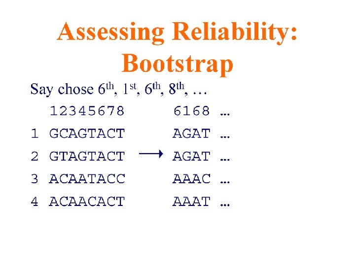 An Introduction to Bioinformatics Algorithms www. bioalgorithms. info 