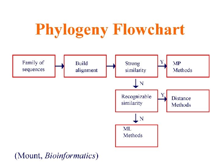 An Introduction to Bioinformatics Algorithms www. bioalgorithms. info 