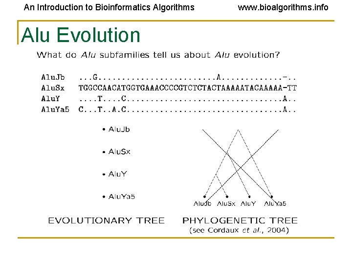 An Introduction to Bioinformatics Algorithms Alu Evolution www. bioalgorithms. info 