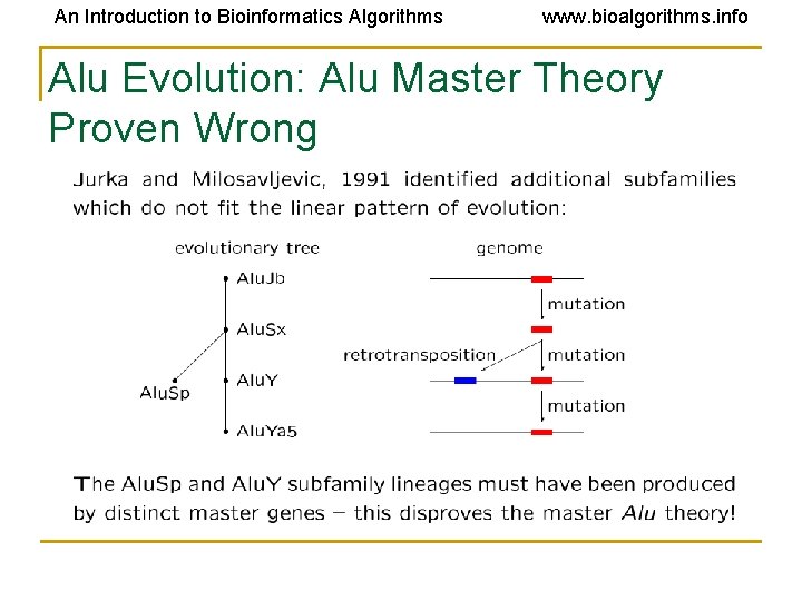 An Introduction to Bioinformatics Algorithms www. bioalgorithms. info Alu Evolution: Alu Master Theory Proven