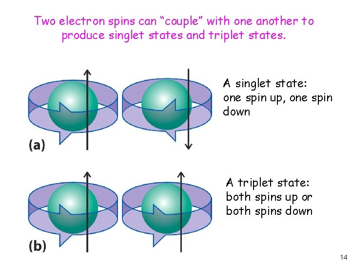 Two electron spins can “couple” with one another to produce singlet states and triplet