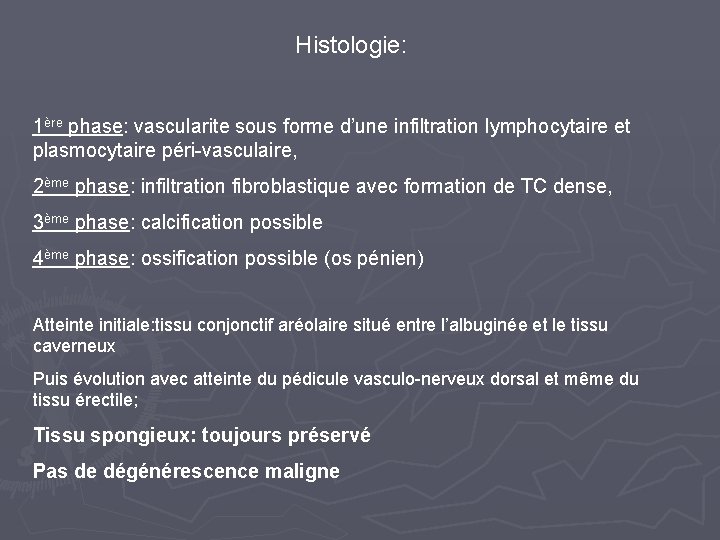 Histologie: 1ère phase: vascularite sous forme d’une infiltration lymphocytaire et plasmocytaire péri-vasculaire, 2ème phase: