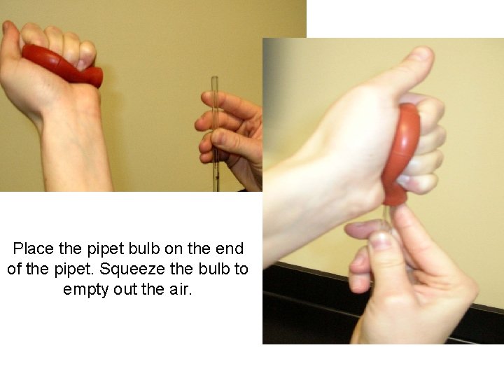 Place the pipet bulb on the end of the pipet. Squeeze the bulb to