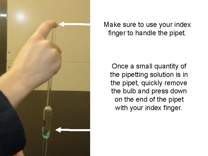 Make sure to use your index finger to handle the pipet. Once a small