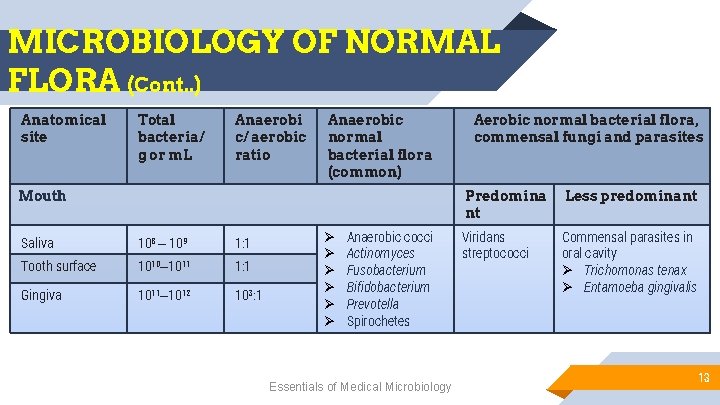 MICROBIOLOGY OF NORMAL FLORA (Cont. . ) Anatomical site Total bacteria/ g or m.