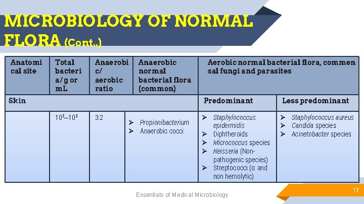 MICROBIOLOGY OF NORMAL FLORA (Cont. . ) Anatomi cal site Total bacteri a/ g