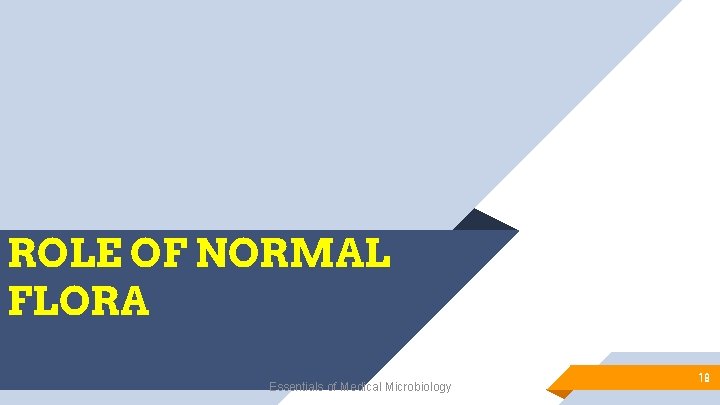 ROLE OF NORMAL FLORA Essentials of Medical Microbiology 18 
