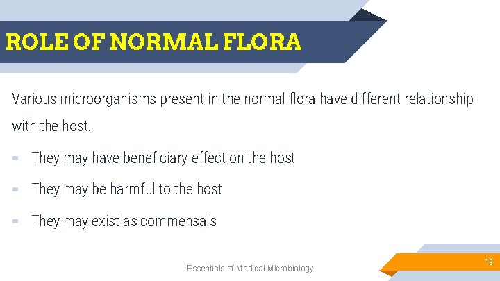 ROLE OF NORMAL FLORA Various microorganisms present in the normal flora have different relationship