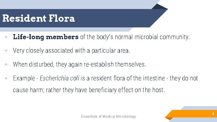 Resident Flora ▰ Life-long members of the body’s normal microbial community. ▰ Very closely
