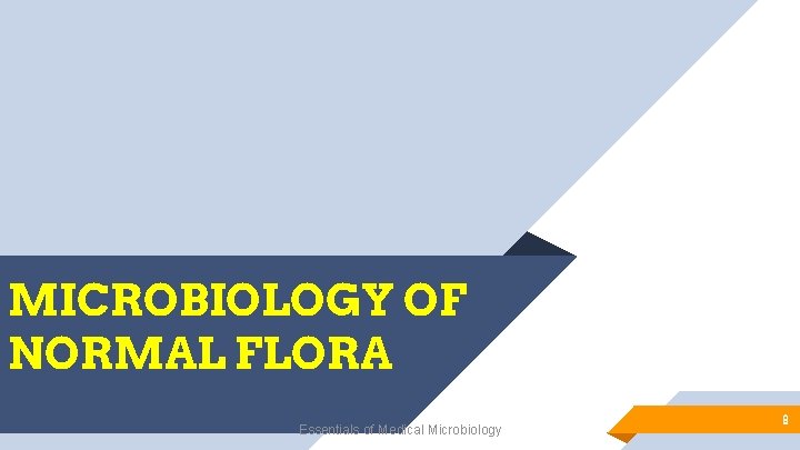 MICROBIOLOGY OF NORMAL FLORA Essentials of Medical Microbiology 8 