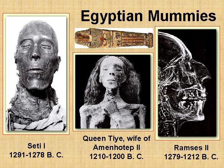 Egyptian Mummies Seti I 1291 -1278 B. C. Queen Tiye, wife of Amenhotep II