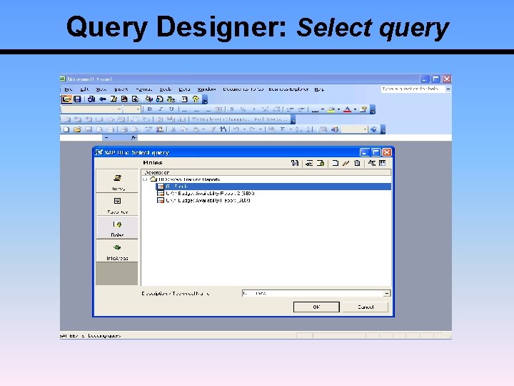 Query Designer: Select query 