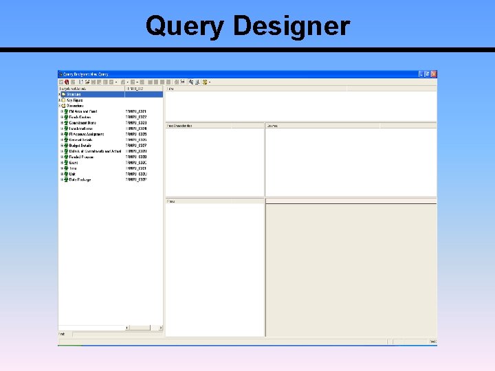 Query Designer 