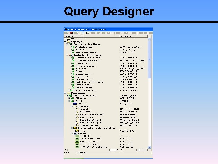 Query Designer 