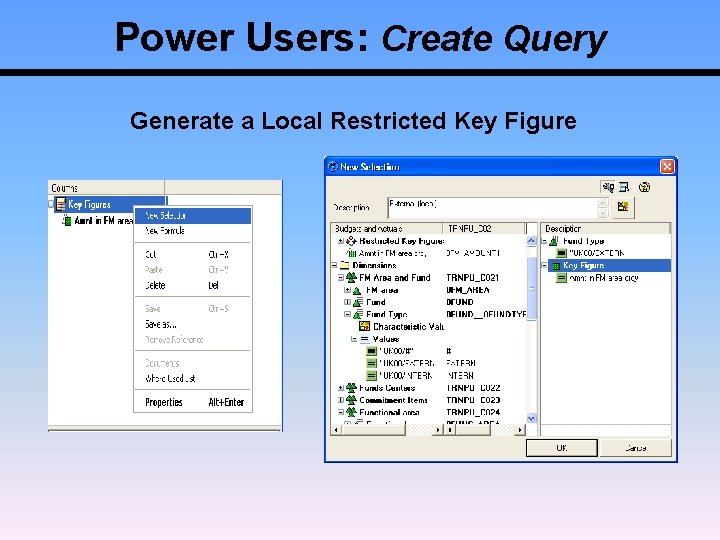 Power Users: Create Query Generate a Local Restricted Key Figure 