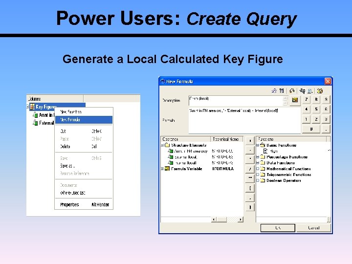 Power Users: Create Query Generate a Local Calculated Key Figure 