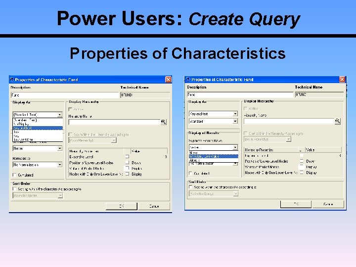 Power Users: Create Query Properties of Characteristics 